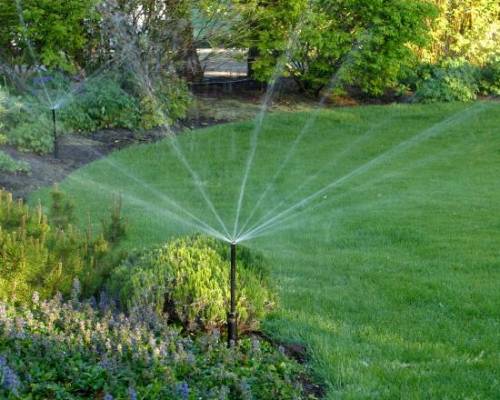best Irrigation System Sydney