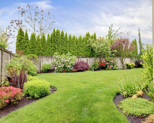 Gardening Services Sydney - Prime Landscaping Solutions