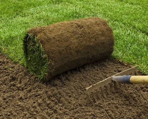 best Turf Laying Services Sydney