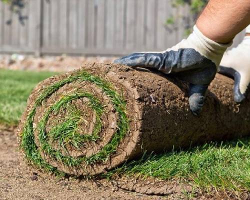 Affordable Turf Laying Services Sydney
