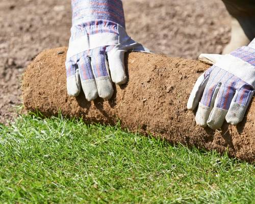 Professional Turf Laying Services Sydney